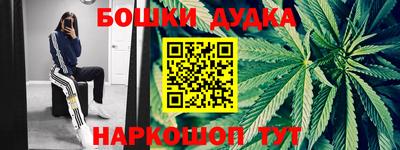 2c-b Новозыбков