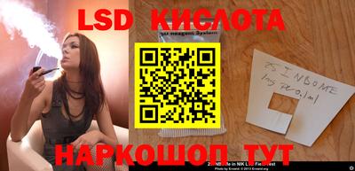 гашик Новокубанск