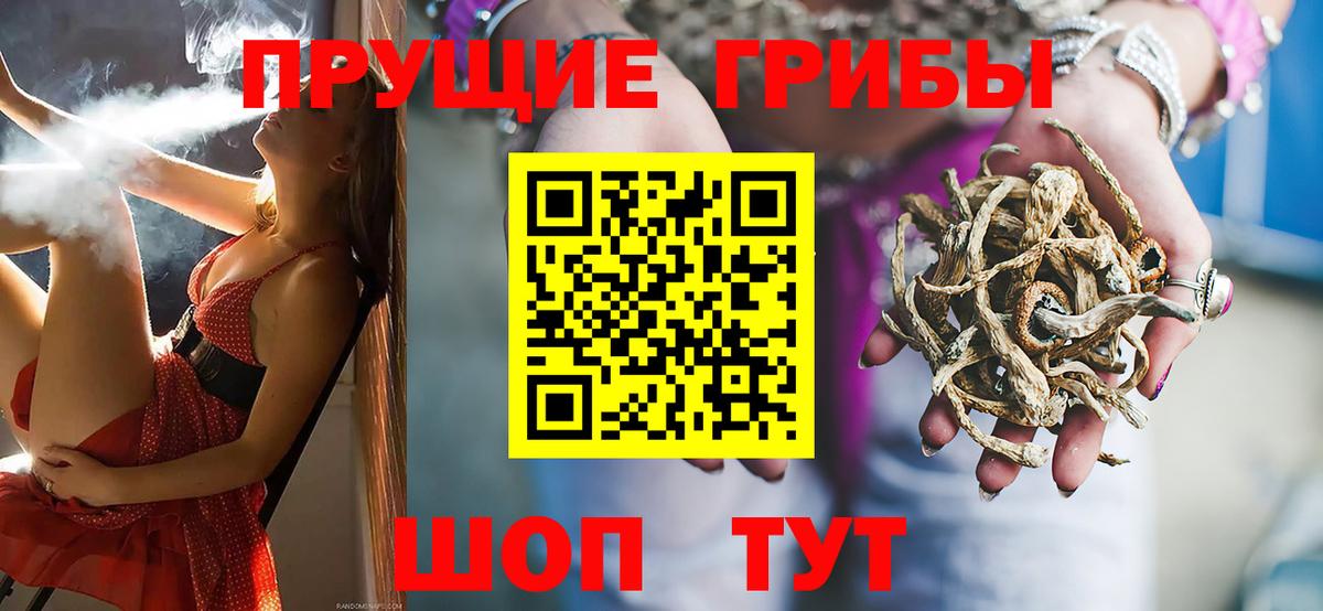 Галлюциногенные грибы ЛСД Северобайкальск