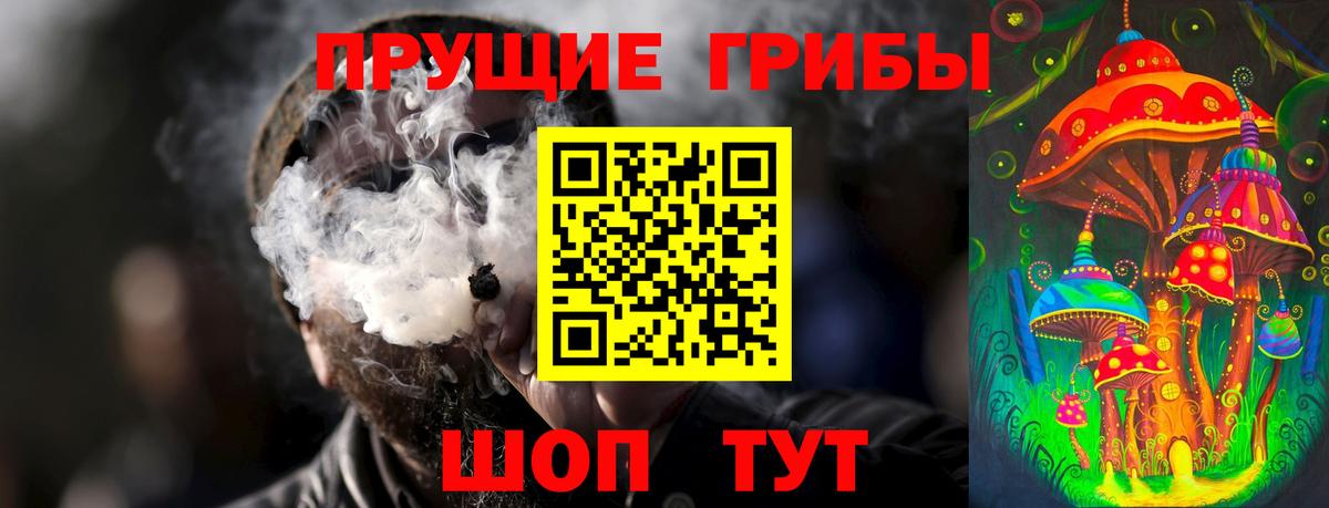Северобайкальск  Псилоцибиновые грибы Psilocybe  Галлюциногенные грибы Magic Shrooms  Вход с VPN 
