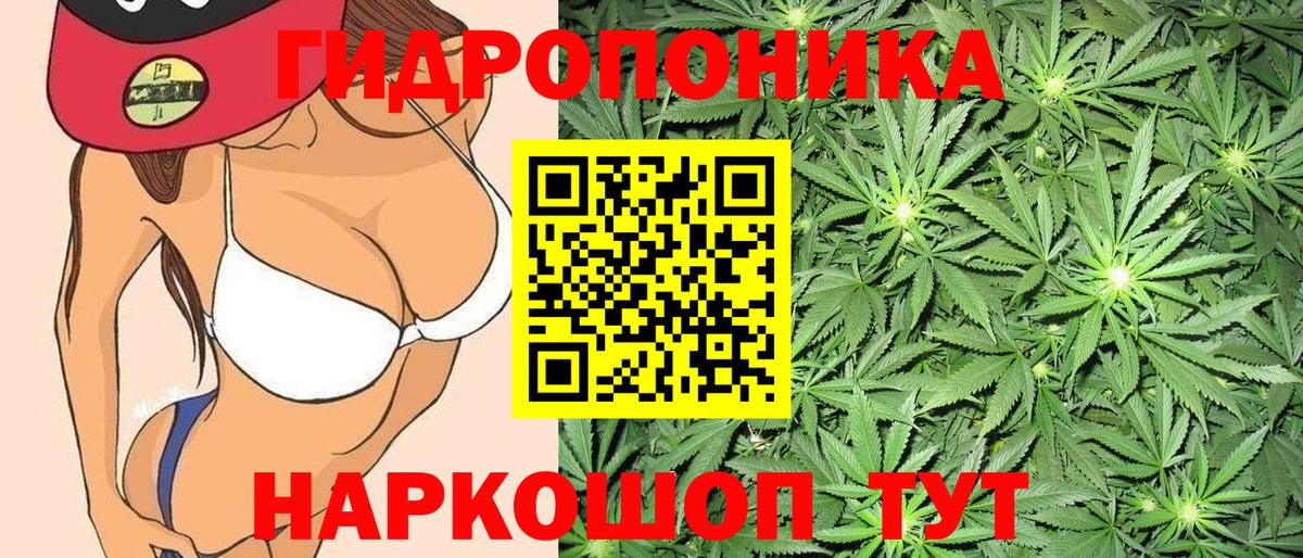 Шишки марихуана тримм Северобайкальск